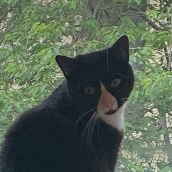 Meet your Posher, Htet - Picture 1 of 1